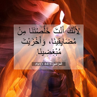 Picture 07 - اَلْمَزَامِيرُ 44:7 AVD - لِأَنَّكَ أَنْتَ - Bible Verse Picture