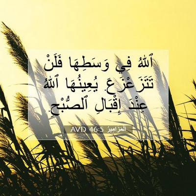 Picture 07 - اَلْمَزَامِيرُ 46:5 AVD - ٱللهُ فِي وَسَطِهَا فَلَنْ - Bible Verse Picture