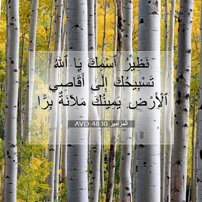 Picture 07 - اَلْمَزَامِيرُ 48:10 AVD - نَظِيرُ ٱسْمِكَ يَا ٱللهُ - Bible Verse Picture