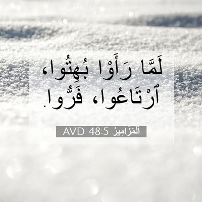Picture 07 - اَلْمَزَامِيرُ 48:5 AVD - لَمَّا رَأَوْا بُهِتُوا، - Bible Verse Picture