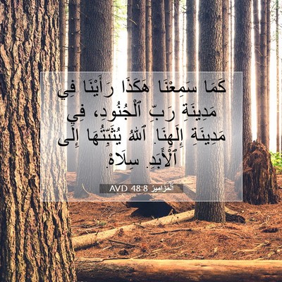 Picture 07 - اَلْمَزَامِيرُ 48:8 AVD - كَمَا سَمِعْنَا هَكَذَا - Bible Verse Picture