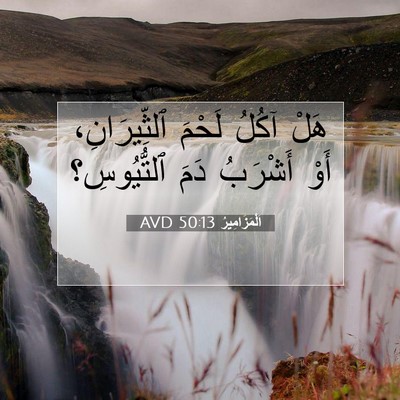 Picture 07 - اَلْمَزَامِيرُ 50:13 AVD - هَلْ آكُلُ لَحْمَ - Bible Verse Picture