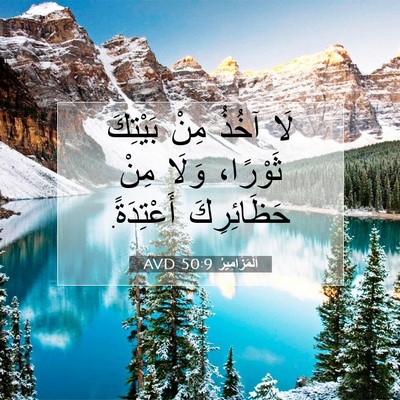 Picture 07 - اَلْمَزَامِيرُ 50:9 AVD - لَا آخُذُ مِنْ بَيْتِكَ - Bible Verse Picture