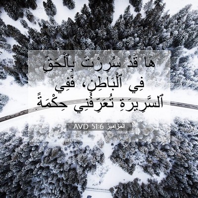 Picture 07 - اَلْمَزَامِيرُ 51:6 AVD - هَا قَدْ سُرِرْتَ - Bible Verse Picture