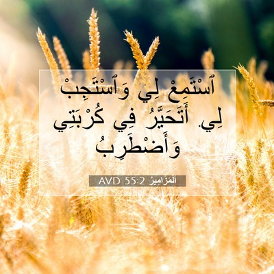 Picture 07 - اَلْمَزَامِيرُ 55:2 AVD - ٱسْتَمِعْ لِي وَٱسْتَجِبْ - Bible Verse Picture