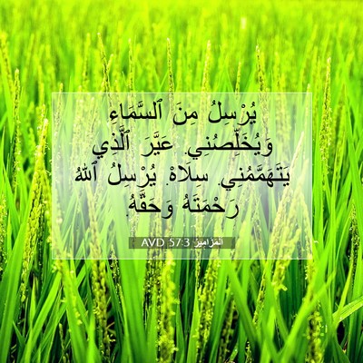 Picture 07 - اَلْمَزَامِيرُ 57:3 AVD - يُرْسِلُ مِنَ ٱلسَّمَاءِ - Bible Verse Picture