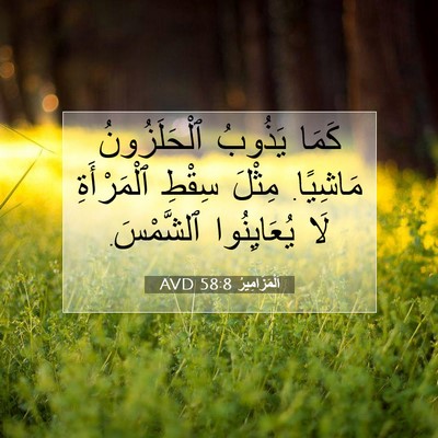 Picture 07 - اَلْمَزَامِيرُ 58:8 AVD - كَمَا يَذُوبُ - Bible Verse Picture