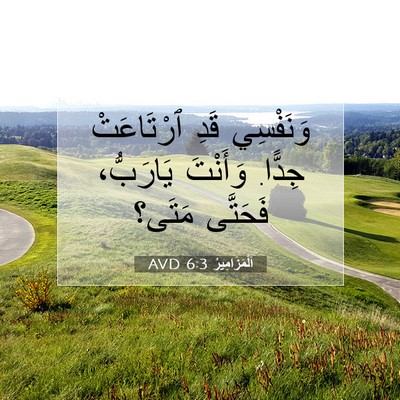 Picture 07 - اَلْمَزَامِيرُ 6:3 AVD - وَنَفْسِي قَدِ ٱرْتَاعَتْ - Bible Verse Picture
