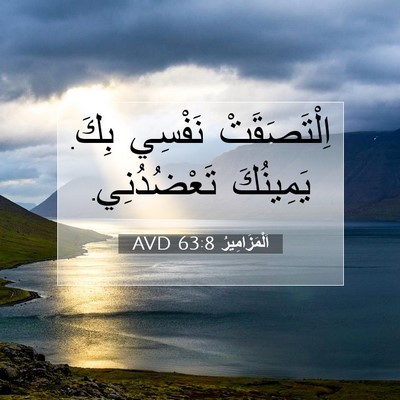 Picture 07 - اَلْمَزَامِيرُ 63:8 AVD - اِلْتَصَقَتْ نَفْسِي بِكَ. - Bible Verse Picture