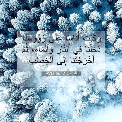 Picture 07 - اَلْمَزَامِيرُ 66:12 AVD - رَكَّبْتَ أُنَاسًا عَلَى - Bible Verse Picture