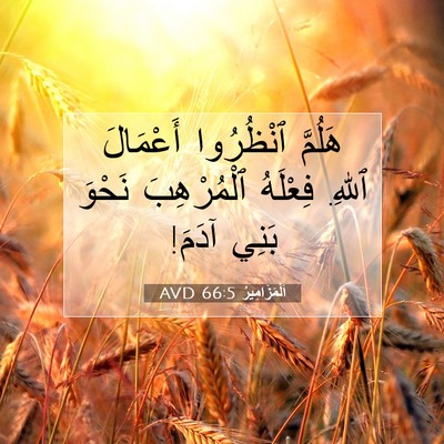 Picture 07 - اَلْمَزَامِيرُ 66:5 AVD - هَلُمَّ ٱنْظُرُوا - Bible Verse Picture