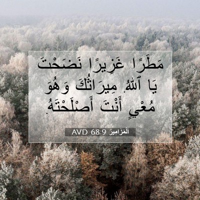 Picture 07 - اَلْمَزَامِيرُ 68:9 AVD - مَطَرًا غَزِيرًا نَضَحْتَ - Bible Verse Picture