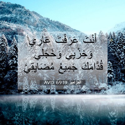 Picture 07 - اَلْمَزَامِيرُ 69:19 AVD - أَنْتَ عَرَفْتَ عَارِي - Bible Verse Picture