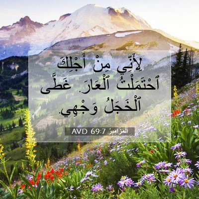 Picture 07 - اَلْمَزَامِيرُ 69:7 AVD - لِأَنِّي مِنْ أَجْلِكَ - Bible Verse Picture