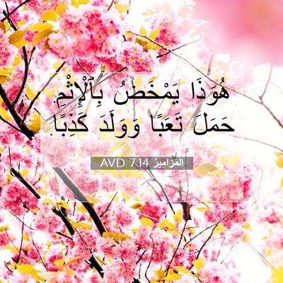 Picture 07 - اَلْمَزَامِيرُ 7:14 AVD - هُوَذَا يَمْخَضُ - Bible Verse Picture