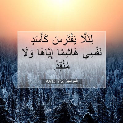Picture 07 - اَلْمَزَامِيرُ 7:2 AVD - لِئَلَّا يَفْتَرِسَ - Bible Verse Picture