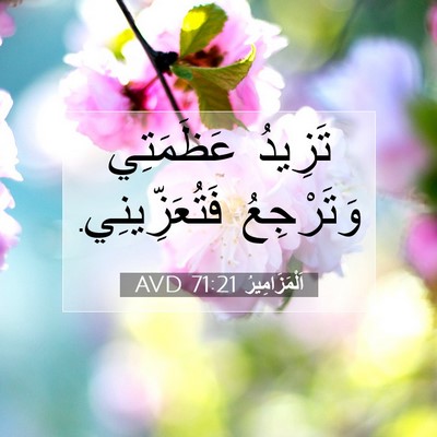 Picture 07 - اَلْمَزَامِيرُ 71:21 AVD - تَزِيدُ عَظَمَتِي - Bible Verse Picture