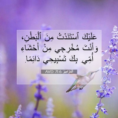 Picture 07 - اَلْمَزَامِيرُ 71:6 AVD - عَلَيْكَ ٱسْتَنَدْتُ مِنَ - Bible Verse Picture