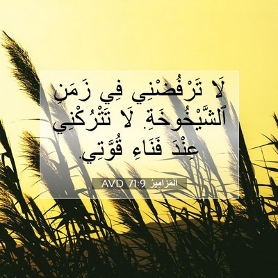 Picture 07 - اَلْمَزَامِيرُ 71:9 AVD - لَا تَرْفُضْنِي فِي زَمَنِ - Bible Verse Picture