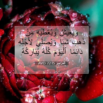 Picture 07 - اَلْمَزَامِيرُ 72:15 AVD - وَيَعِيشُ وَيُعْطِيهِ - Bible Verse Picture