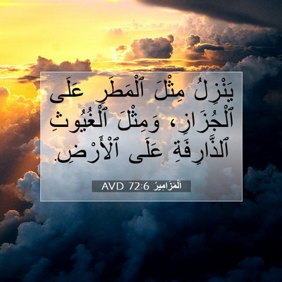 Picture 07 - اَلْمَزَامِيرُ 72:6 AVD - يَنْزِلُ مِثْلَ ٱلْمَطَرِ - Bible Verse Picture