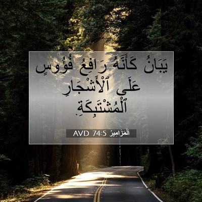 Picture 07 - اَلْمَزَامِيرُ 74:5 AVD - يَبَانُ كَأَنَّهُ رَافِعُ - Bible Verse Picture