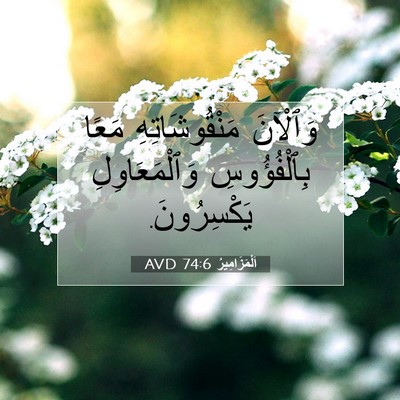 Picture 07 - اَلْمَزَامِيرُ 74:6 AVD - وَٱلْآنَ مَنْقُوشَاتِهِ - Bible Verse Picture