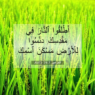 Picture 07 - اَلْمَزَامِيرُ 74:7 AVD - أَطْلَقُوا ٱلنَّارَ فِي - Bible Verse Picture