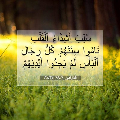 Picture 07 - اَلْمَزَامِيرُ 76:5 AVD - سُلِبَ أَشِدَّاءُ - Bible Verse Picture