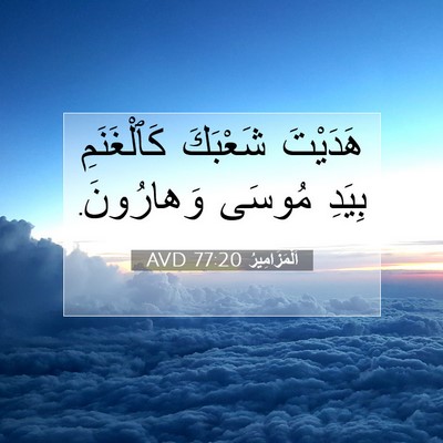 Picture 07 - اَلْمَزَامِيرُ 77:20 AVD - هَدَيْتَ شَعْبَكَ - Bible Verse Picture