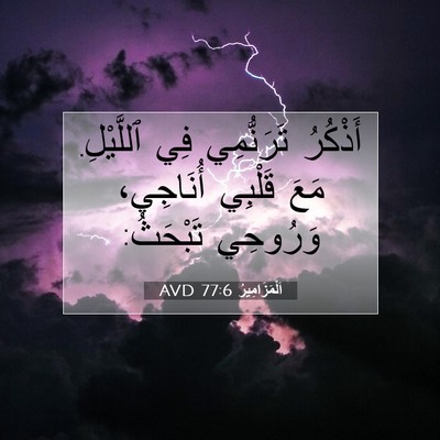 Picture 07 - اَلْمَزَامِيرُ 77:6 AVD - أَذْكُرُ تَرَنُّمِي فِي - Bible Verse Picture