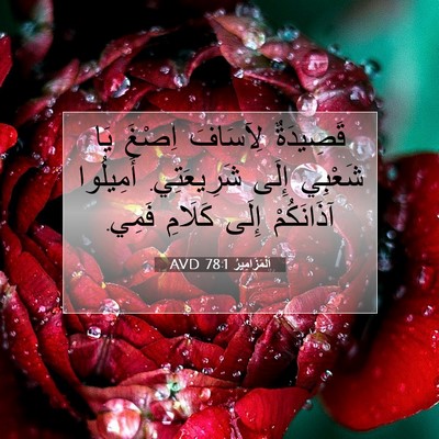 Picture 07 - اَلْمَزَامِيرُ 78:1 AVD - قَصِيدَةٌ لِآسَافَ اِصْغَ - Bible Verse Picture