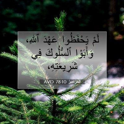 Picture 07 - اَلْمَزَامِيرُ 78:10 AVD - لَمْ يَحْفَظُوا عَهْدَ - Bible Verse Picture