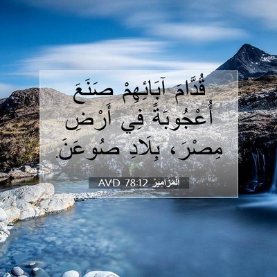Picture 07 - اَلْمَزَامِيرُ 78:12 AVD - قُدَّامَ آبَائِهِمْ - Bible Verse Picture