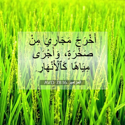 Picture 07 - اَلْمَزَامِيرُ 78:16 AVD - أَخْرَجَ مَجَارِيَ مِنْ - Bible Verse Picture