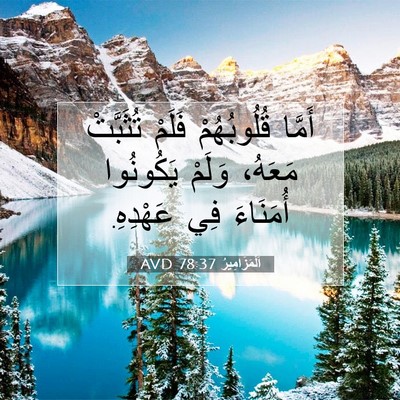Picture 07 - اَلْمَزَامِيرُ 78:37 AVD - أَمَّا قُلُوبُهُمْ فَلَمْ - Bible Verse Picture