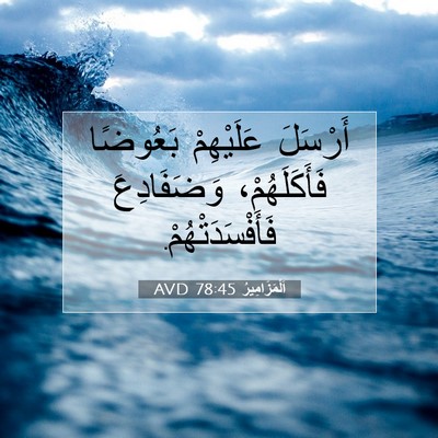 Picture 07 - اَلْمَزَامِيرُ 78:45 AVD - أَرْسَلَ عَلَيْهِمْ - Bible Verse Picture