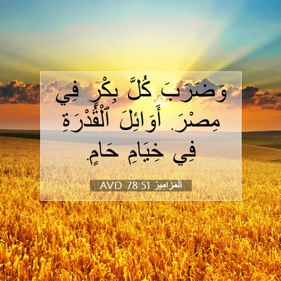 Picture 07 - اَلْمَزَامِيرُ 78:51 AVD - وَضَرَبَ كُلَّ بِكْرٍ فِي - Bible Verse Picture
