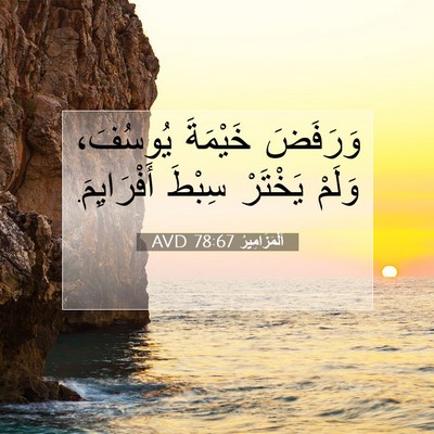 Picture 07 - اَلْمَزَامِيرُ 78:67 AVD - وَرَفَضَ خَيْمَةَ - Bible Verse Picture