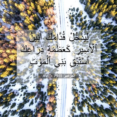 Picture 07 - اَلْمَزَامِيرُ 79:11 AVD - لِيَدْخُلْ قُدَّامَكَ - Bible Verse Picture