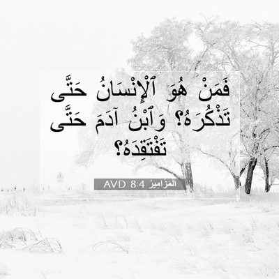 Picture 07 - اَلْمَزَامِيرُ 8:4 AVD - فَمَنْ هُوَ ٱلْإِنْسَانُ - Bible Verse Picture