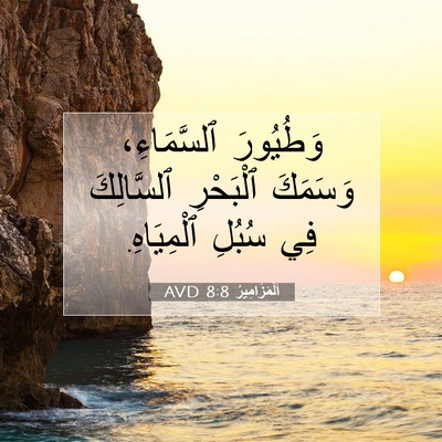 Picture 07 - اَلْمَزَامِيرُ 8:8 AVD - وَطُيُورَ ٱلسَّمَاءِ، - Bible Verse Picture