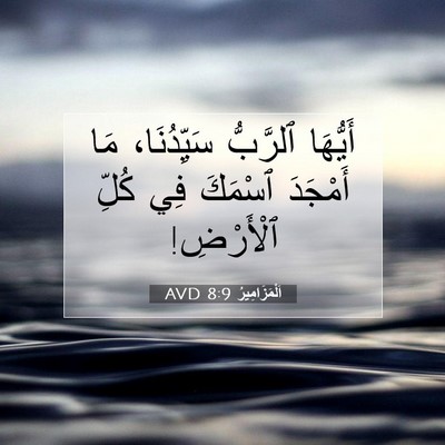 Picture 07 - اَلْمَزَامِيرُ 8:9 AVD - أَيُّهَا ٱلرَّبُّ - Bible Verse Picture