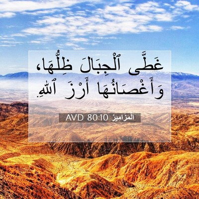 Picture 07 - اَلْمَزَامِيرُ 80:10 AVD - غَطَّى ٱلْجِبَالَ - Bible Verse Picture