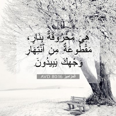 Picture 07 - اَلْمَزَامِيرُ 80:16 AVD - هِيَ مَحْرُوقَةٌ بِنَارٍ، - Bible Verse Picture