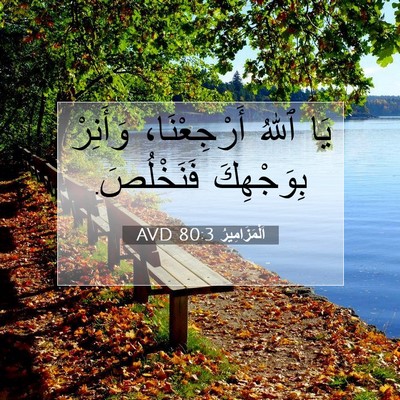 Picture 07 - اَلْمَزَامِيرُ 80:3 AVD - يَا ٱللهُ أَرْجِعْنَا، - Bible Verse Picture