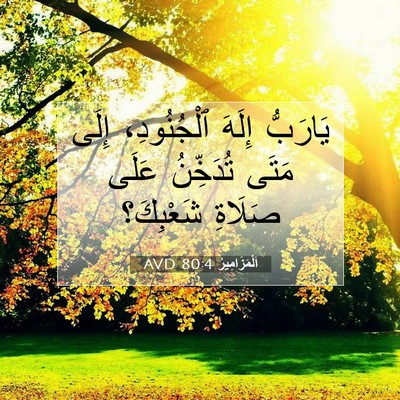 Picture 07 - اَلْمَزَامِيرُ 80:4 AVD - يَارَبُّ إِلَهَ - Bible Verse Picture
