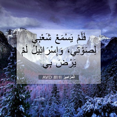 Picture 07 - اَلْمَزَامِيرُ 81:11 AVD - فَلَمْ يَسْمَعْ شَعْبِي - Bible Verse Picture