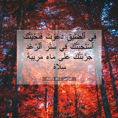 Picture 07 - اَلْمَزَامِيرُ 81:7 AVD - فِي ٱلضِّيقِ دَعَوْتَ - Bible Verse Picture