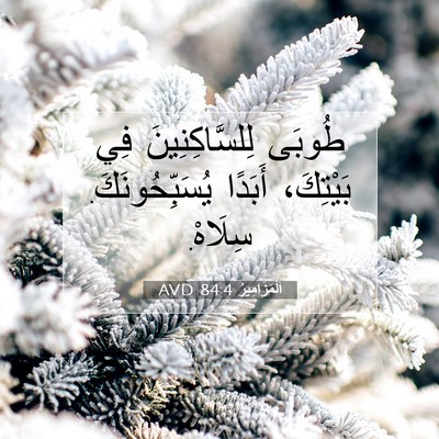 Picture 07 - اَلْمَزَامِيرُ 84:4 AVD - طُوبَى لِلسَّاكِنِينَ فِي - Bible Verse Picture